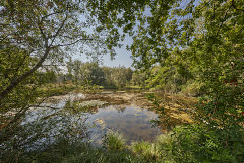 Gemeinde Altötting Landkreis Altötting Silbersee Landschaft (Dirschl Johann) Deutschland AÖ